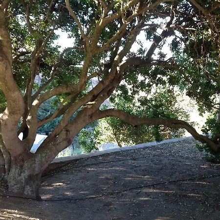 Villa Maria In Tinos - Isa House